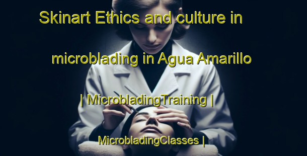 Skinart Ethics and culture in microblading in Agua Amarillo | MicrobladingTraining | MicrobladingClasses | SkinartTraining-Venezuela